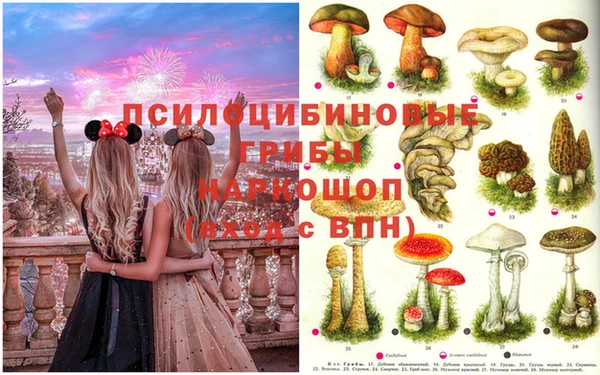 прущие крисы Абдулино