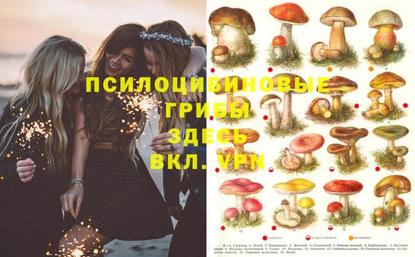 таблы Алзамай
