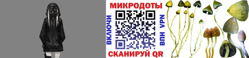 Псилоцибиновые грибы мухоморы  это телеграм  Тырныауз  где найти наркотики 